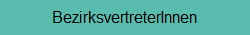 BezirksvertreterInnen