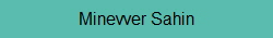 Minevver Sahin
